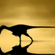 Image for article titled For Dino Geeks, the Twitter #SciArt Storm Was Undeniably Awesome